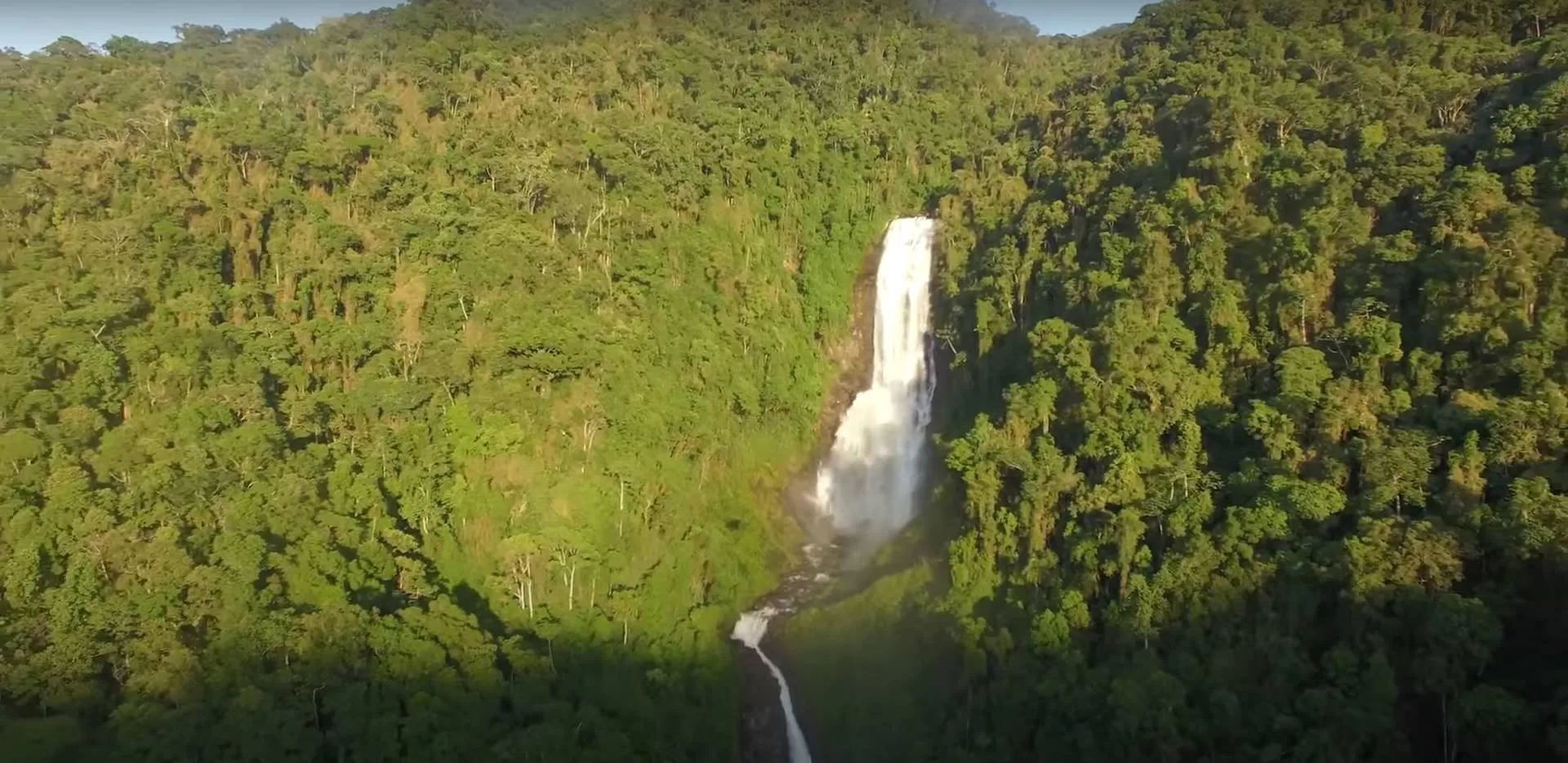Trilha do Ouro é passeio de final de semana na Mata Atlântica